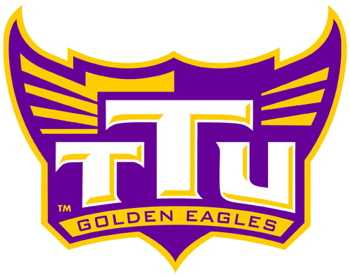 Tennessee Tech Golden Eagles 2006-Pres Alternate Logo v6 diy fabric transfers